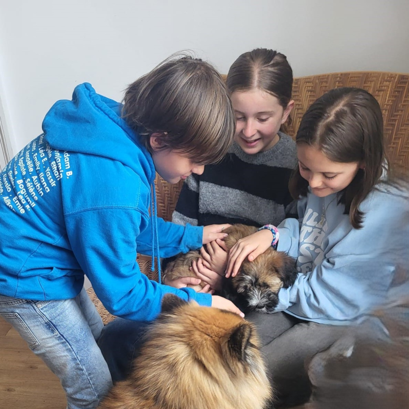 Trois enfants avec un chien
