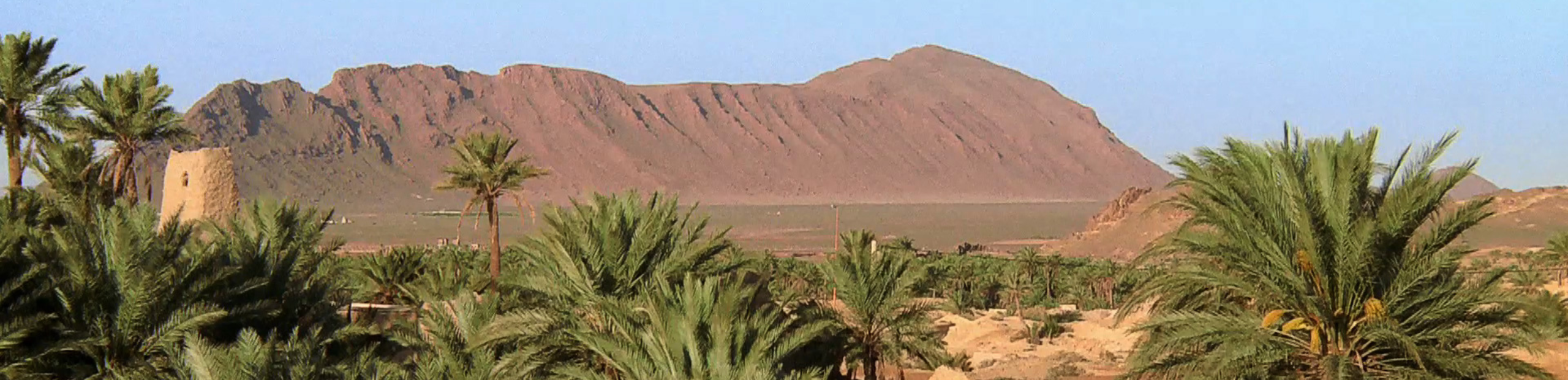 Palmiers et collines dans le désert marocain