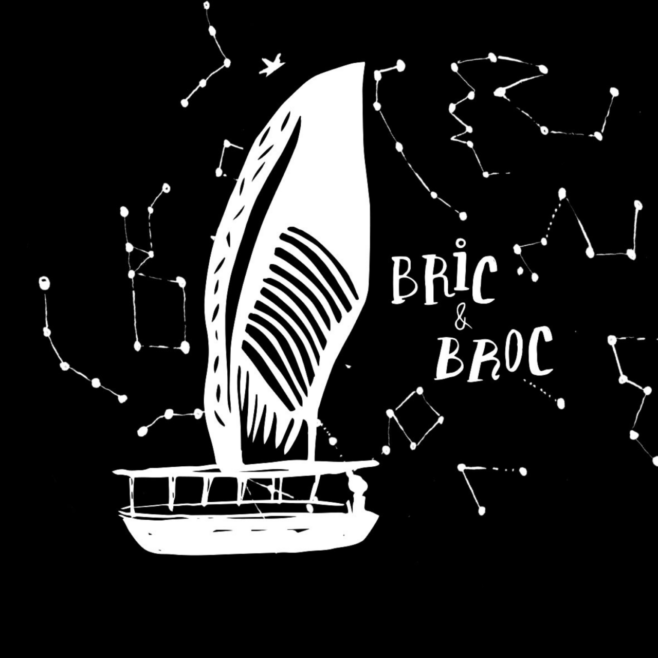 logo du groupe bric et broc